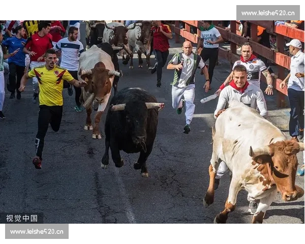 激烈骑牛竞技背后的文化传承与勇气比拼的全景观察深度解析之路探